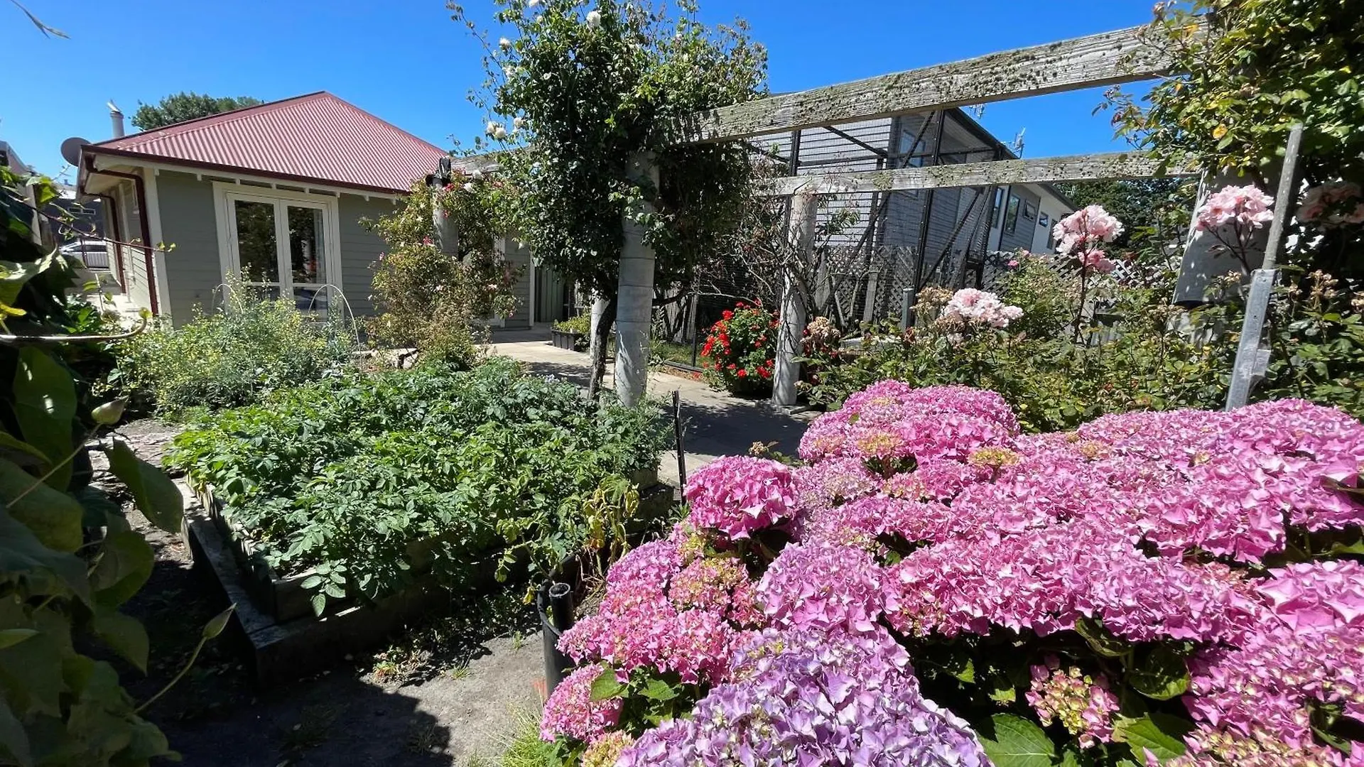 Quiet And New Cnzhouse With Yard Near River In Cbd Christchurch New Zealand